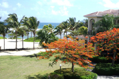 303 La Grande Princesse Qu 1