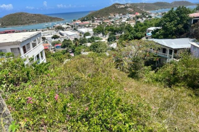 90 Anna's Fancy Kps 1