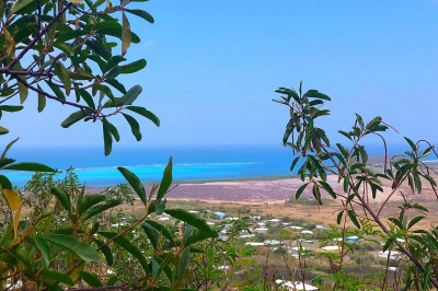 196 Union & Mt. Wash Ea 1