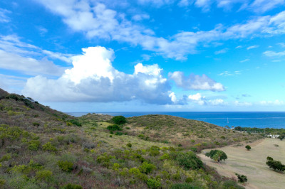 105-b Cotton Valley Eb 1