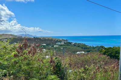 229 Cotton Valley Eb 1