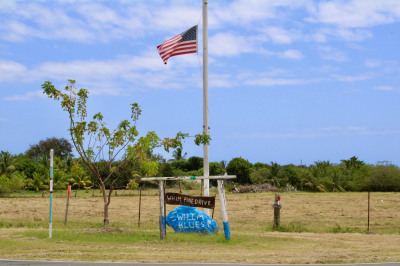 68 & 67c Whim (two Will) We 1