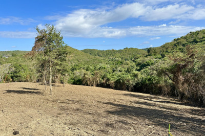 Rem 9a Montpellier Pr 1