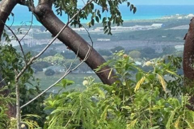 51 Constitution Hill Co 1