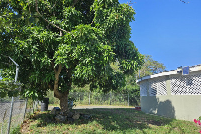 10-g Whim (two Will) We 1