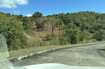 4-24 Botany Bay We 1