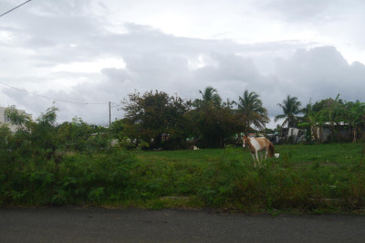 1004 William's De Pr 1