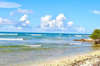 163/2 Judith's Fancy Qu 1