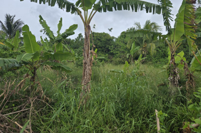 4-ma Upper Love Pr 1