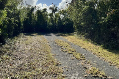 197 Mary's Fancy Qu 1