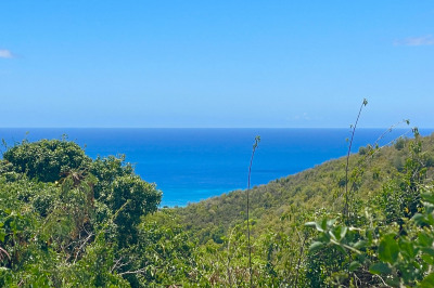 115 Little La Grange We 1