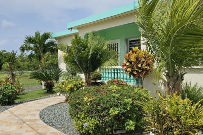 41q Whim Whim (two Will) We 1