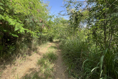 C-5-b-5 Lovenlund Gns 1