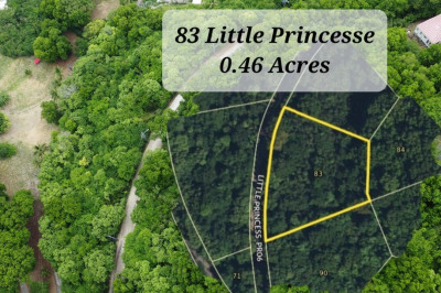 83 Little Princesse Co 1