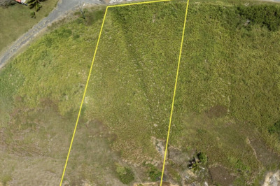 82 Enfield Green Pr 1