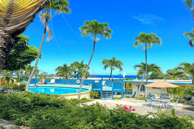 31 Orange Grove Co 1