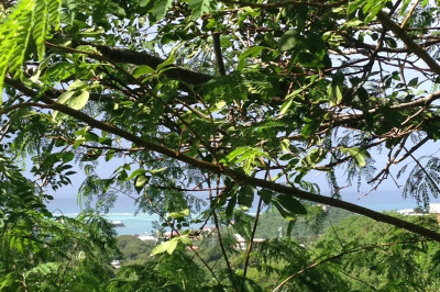 4 Of 137 Mt. Welcome Ea 1