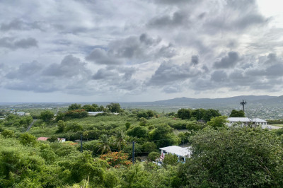 206 Down Mary's Fancy Qu 1