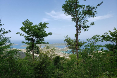 9d Crown & Hawk Ss 1