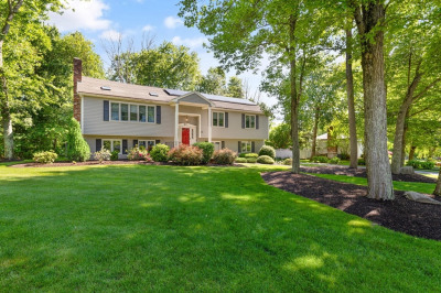 53 Hollytree Rd 1