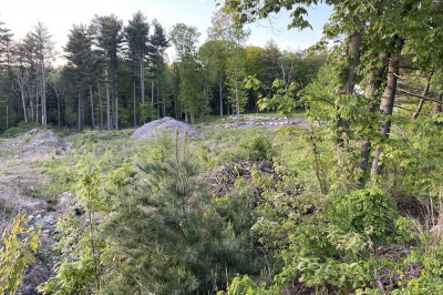 Lot 4 Foxboro Road