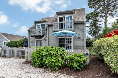 5 Hydrangea Ln #5 1