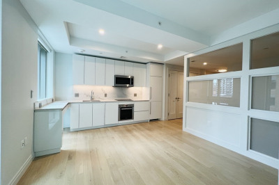 133 Seaport Blvd #921 1