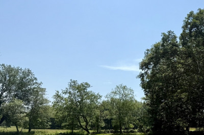 280 Bridge St Lot1 1
