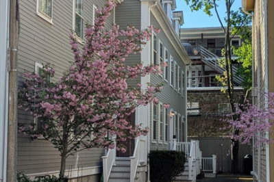 26 White Place #3 1