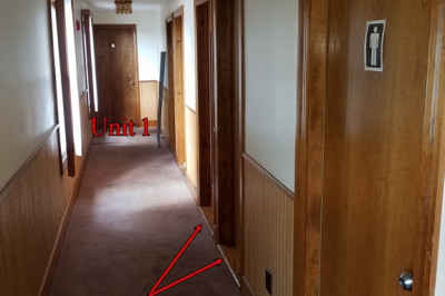 12 Baldwin Street #1 1