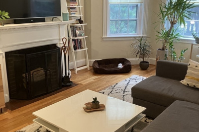 43 Linnaean St #1 1