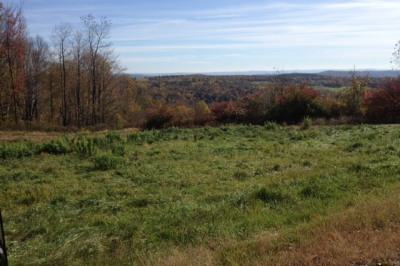 0 Ed Clark Rd, Lot 61