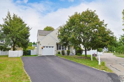 49 Palomino Dr
