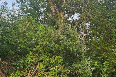 Lot 1 Jason Drive