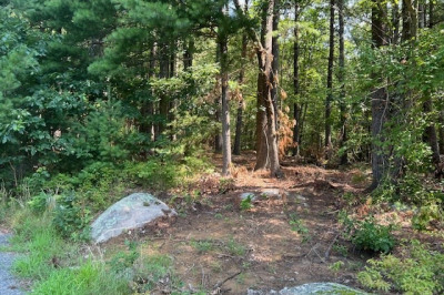 Lot 3 Hazel Plaza