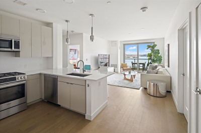 45 Lewis Street #313
