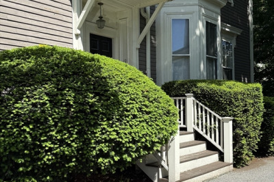 19 Harvard Avenue #2 1