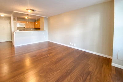 151 Tremont St #11U 1