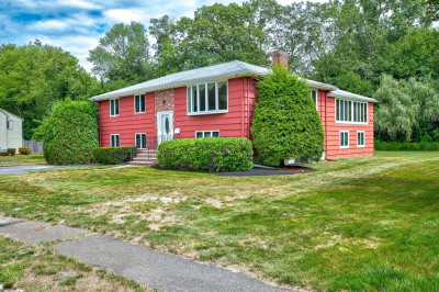 53 Trainor Drive 1
