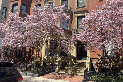 213 Commonwealth Ave #10 1
