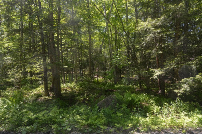 Lot 155 Chippewa Drive 1