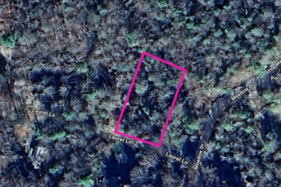 0 Laurel Ln 1
