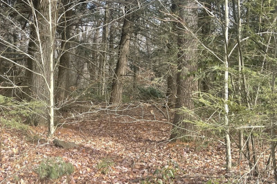 Lot 27 Hartland Road