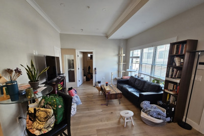 9 Everett St #1 1