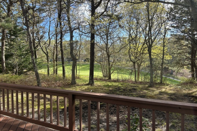 41 Greensward Cir 1