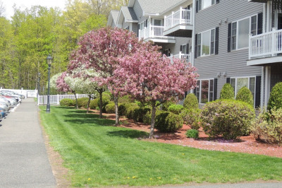 24 Greenleaves Drive #436 1
