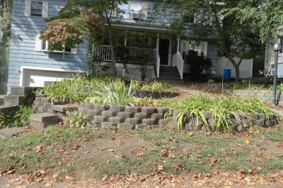59 Norval Ave 1