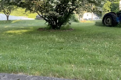 20 Dale Ave 1