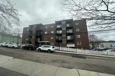175 Clare Ave #B4 1