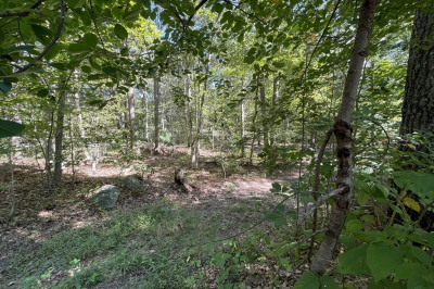 156 Rocky Hill Rd 1
